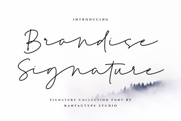 Brandise Signature: The Elegant Script Font for Crafters
