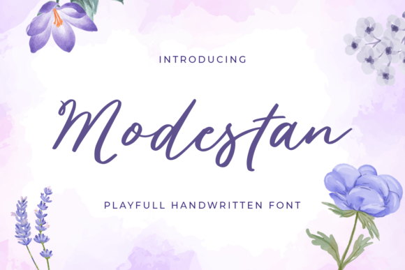 Modestan: The Elegant Script Font for Modern Web Design