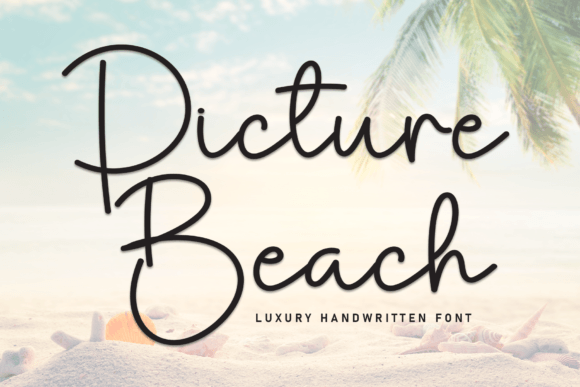 Picture Beach: An Elegant Script Font for Web Design