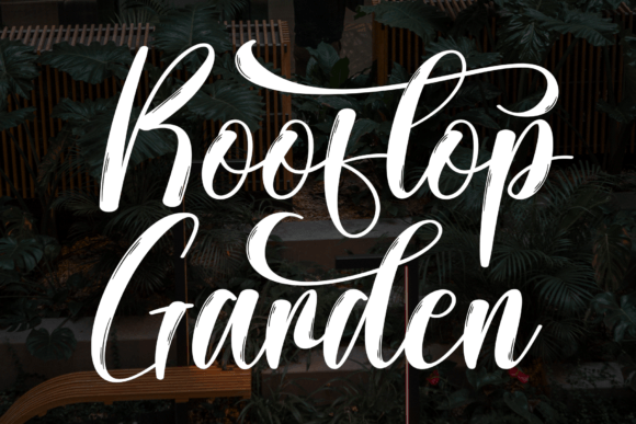 Rooftop Garden: An Elegant Script Font for Branding